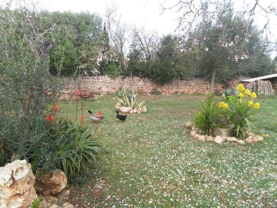 Sa Rota Ferienhaus Santa Margarita (Mallorca)
